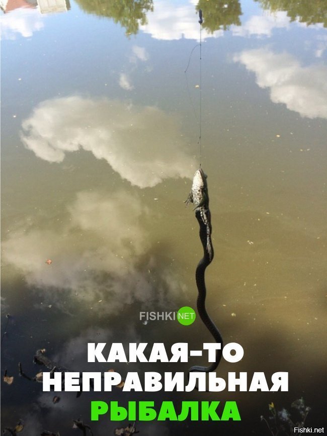 Неправильная рыбалка
