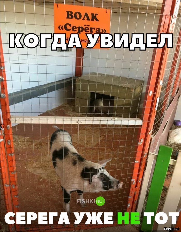 Серёга уже не тот