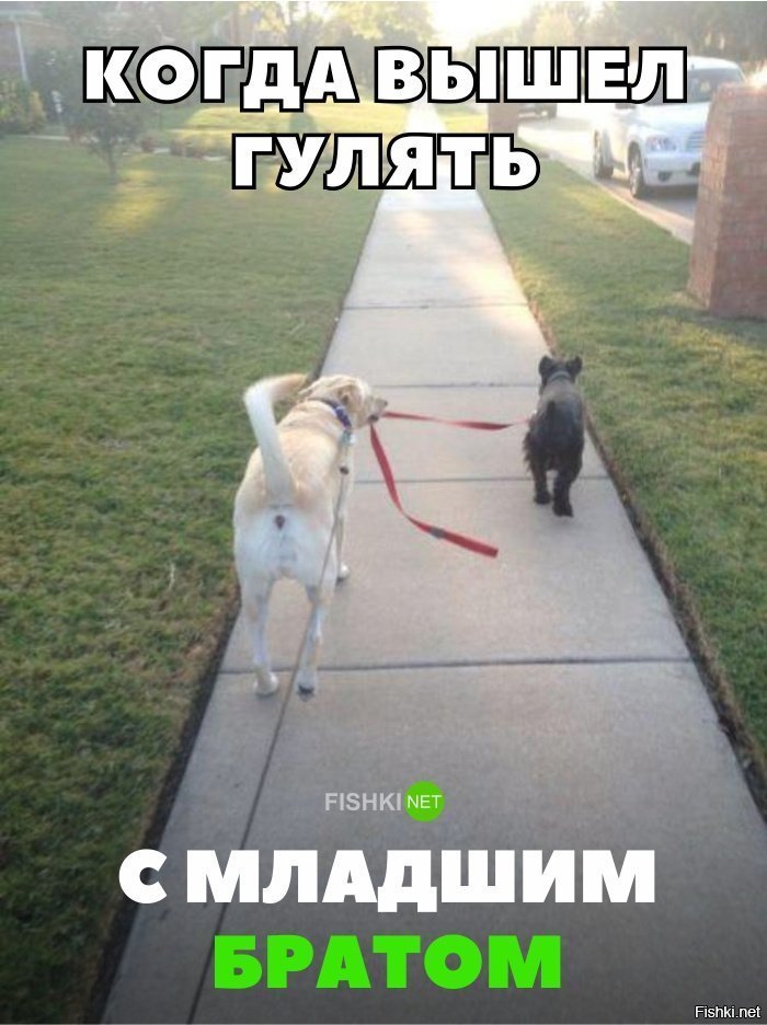 Когда вышел гулять с  младшим братом