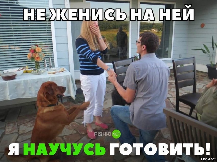 Я бы пса выбрал