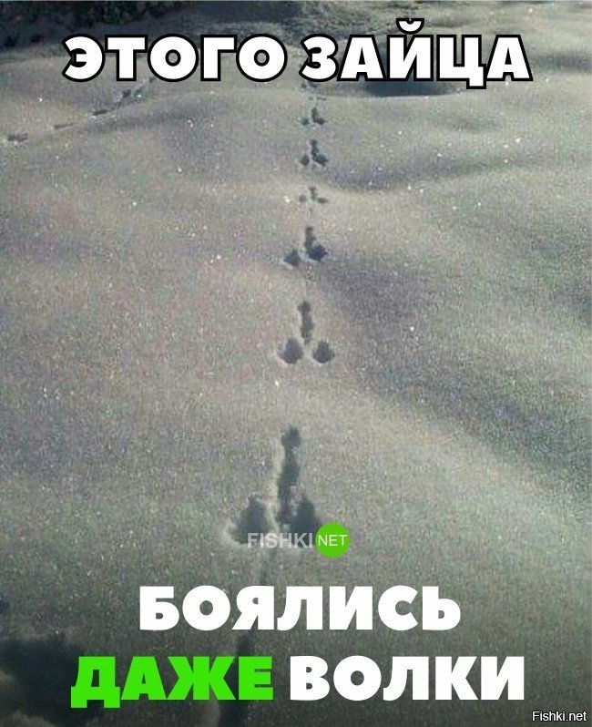 Все волки боялись