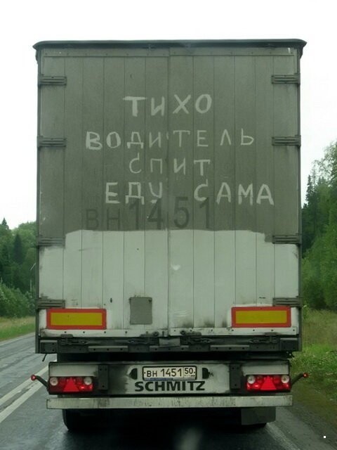 Автовсячина