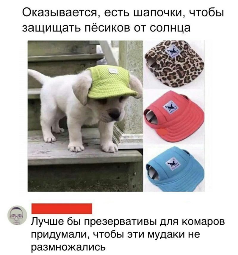 Забавные фотографии