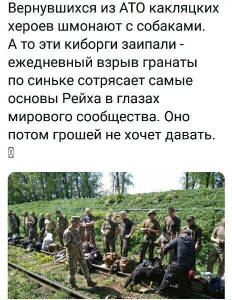 Политические коментарии соцсетей - 464