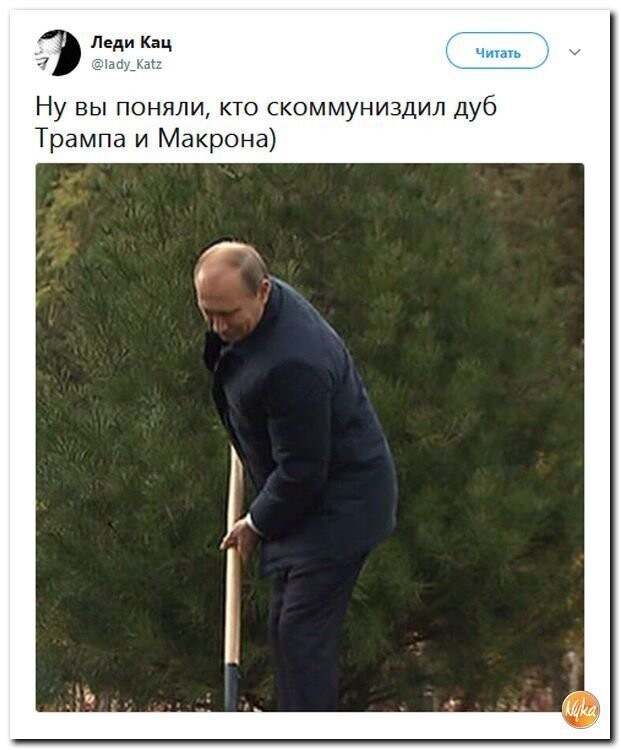 Политические коментарии соцсетей - 464
