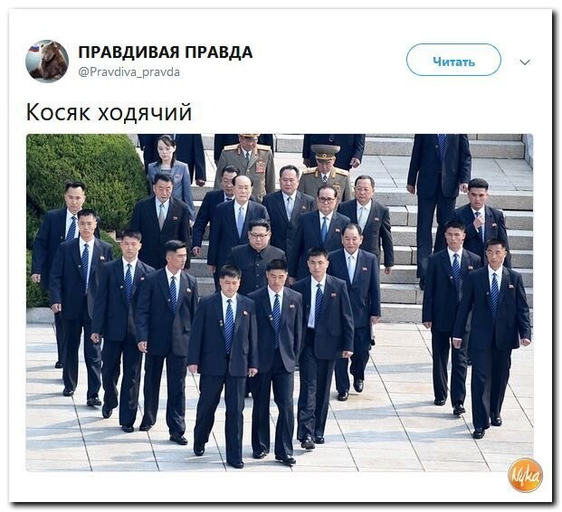 Политические коментарии соцсетей - 464