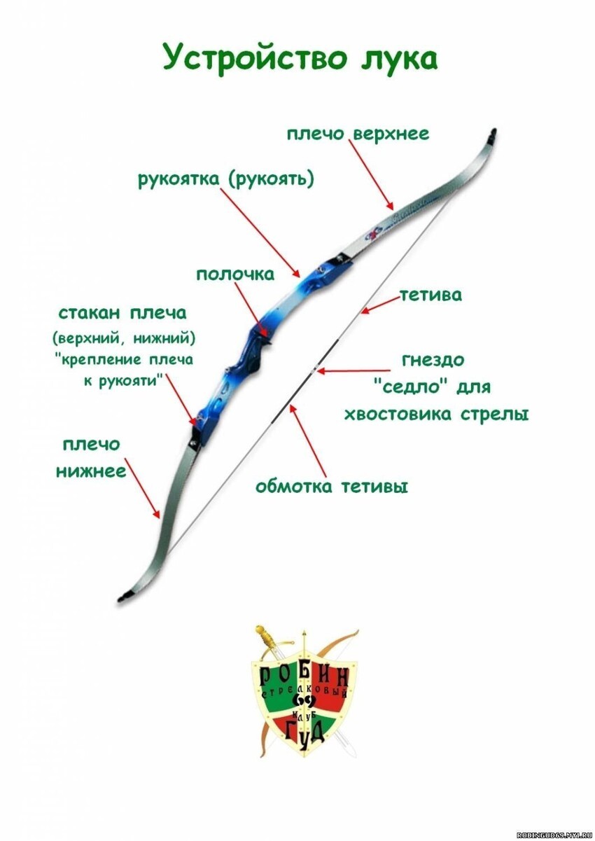 Цветная схема лук