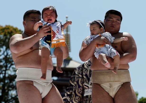 В Японии борцы сумо вынуждают рыдать младенцев