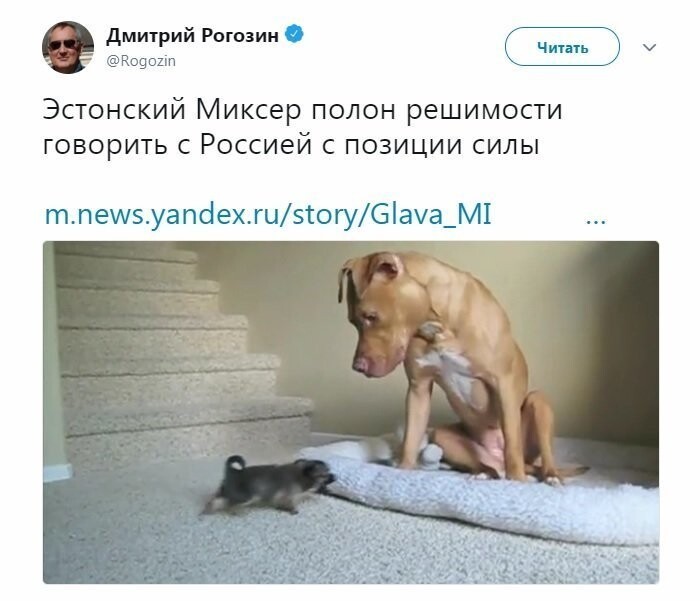 "Бесстрашный миксер". Рогозин высмеял слова главы МИД Эстонии о России