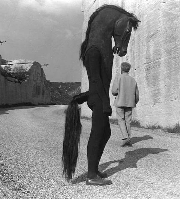 Мужчина в костюме лошади, Греция, 1961 год. ("Да, чёт взгрустнулось...")