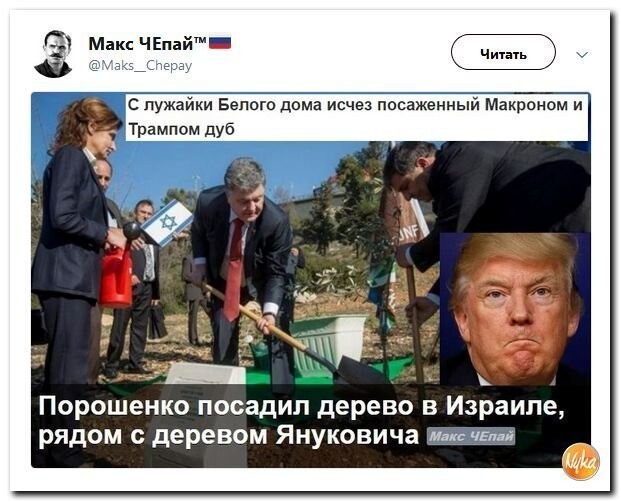 Политические коментарии соцсетей - 466