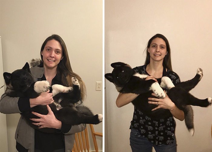 Слева - щенку 10 недель, справа - один месяц
