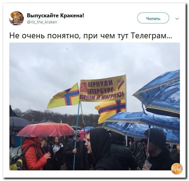 Политические коментарии соцсетей - 468
