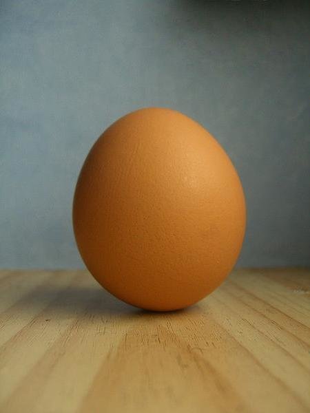 Интересные факты про яйца