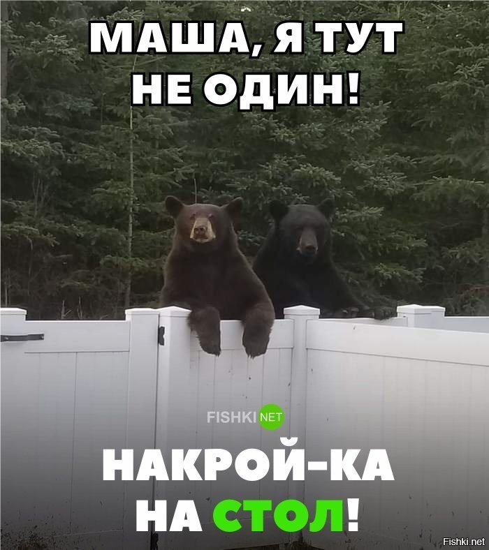 Накрывай, Маша!