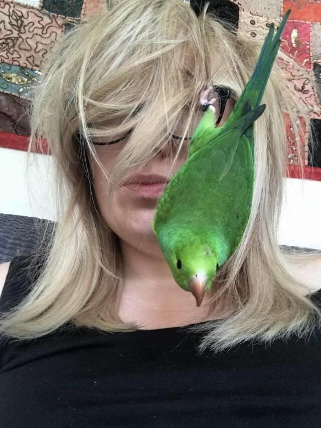Селфи с попугаем