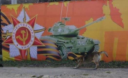В посёлке Стрелица Воронежской области «Першинг» из США сделали символом Дня Победы