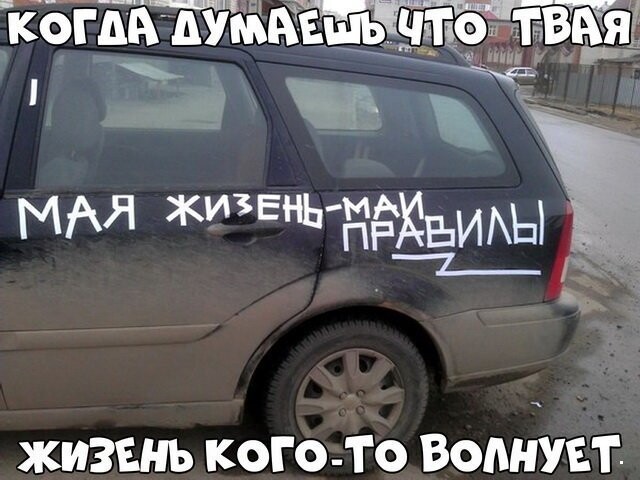 Автовсячина