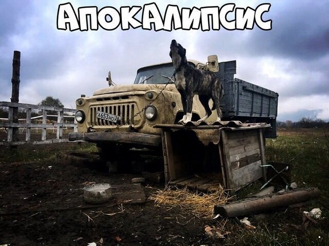 Автовсячина