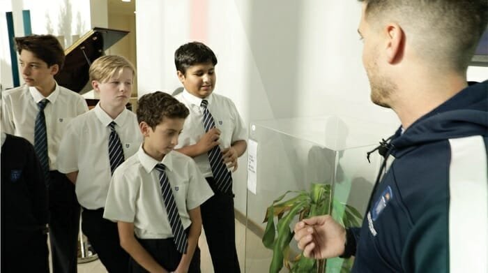 Ошеломляющий результат эксперимента: IKEA попросила школьников ругать растение в течение 30 дней