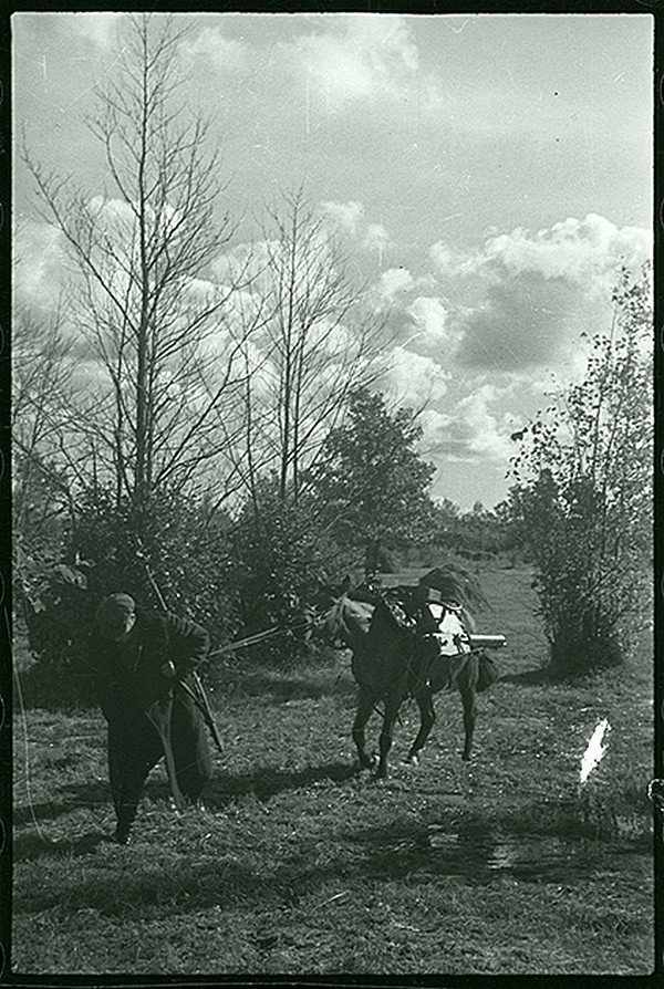 Партизаны с пулеметами на высоте. Ленинградская область, 1942.