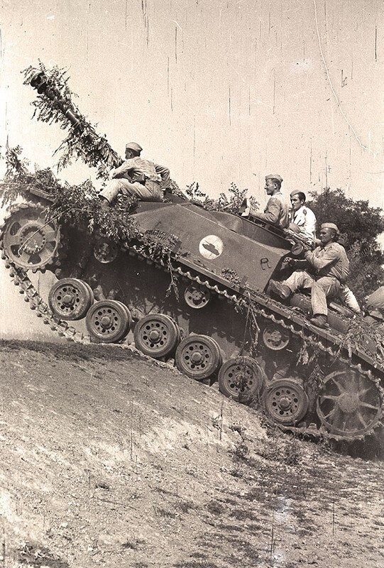 Немецкие САУ StuG III на учениях в югославской народной армии. 1947 г.