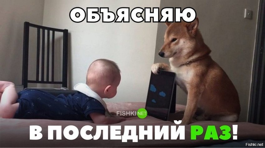 Объясняю в последний раз