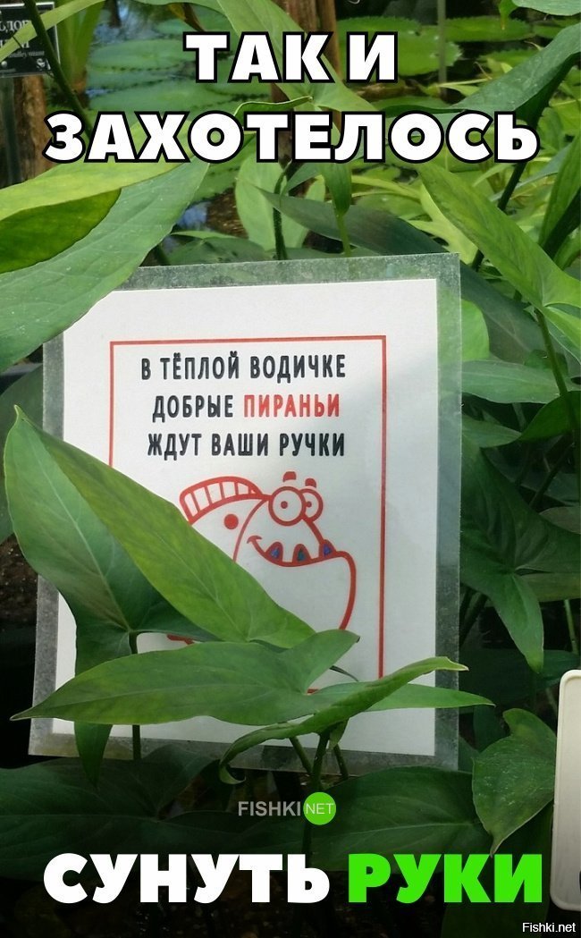 Так и захотелось