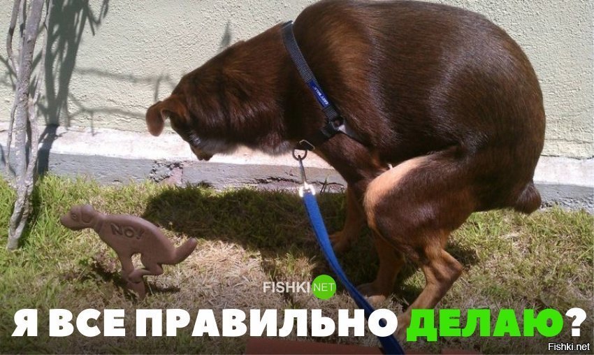 Всё правильно делаю?