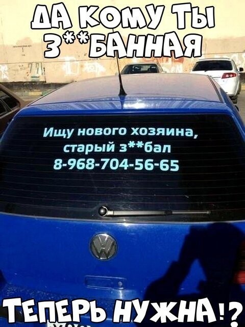 Автовсячина