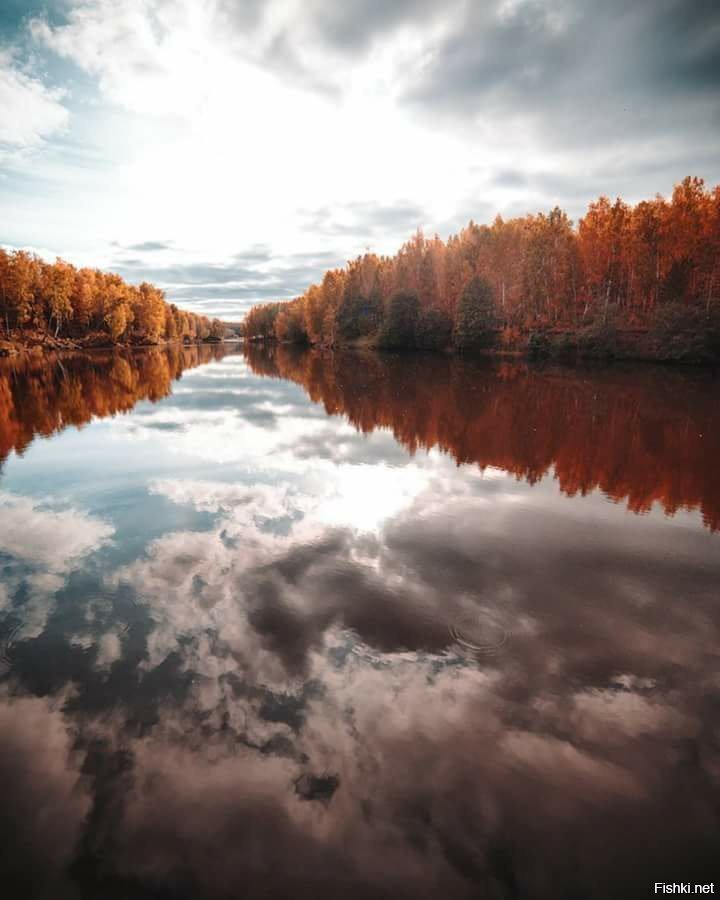 Солянка от 11.05.2018