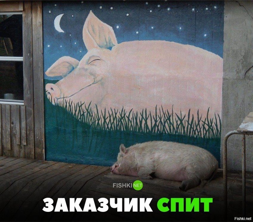 Заказчик спит