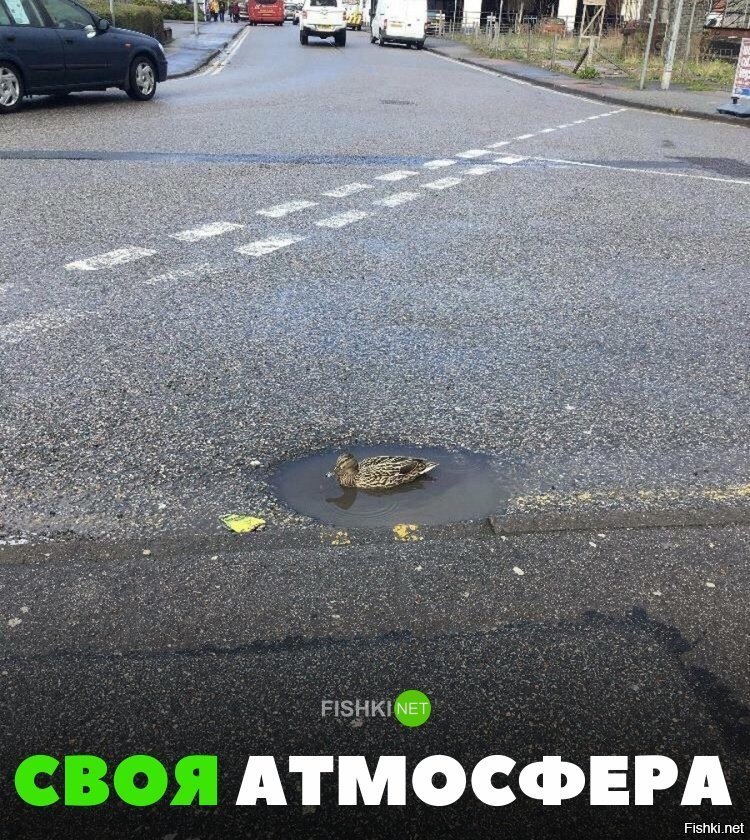 Своя атмосфера