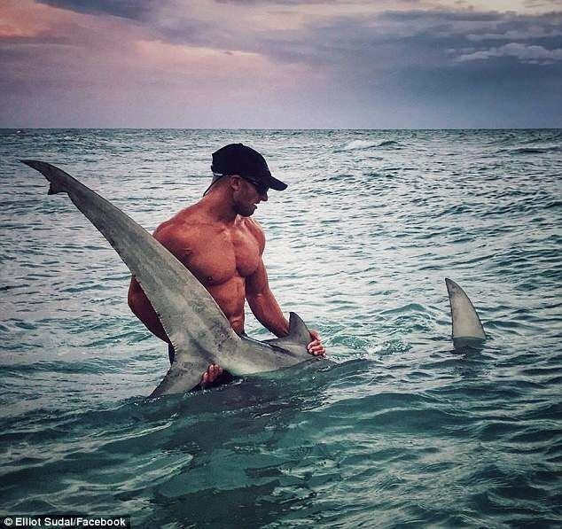Какая акула? Давайте кубики! Мускулистый рыбак из Флориды Эллиот Судал покоряет женские сердца