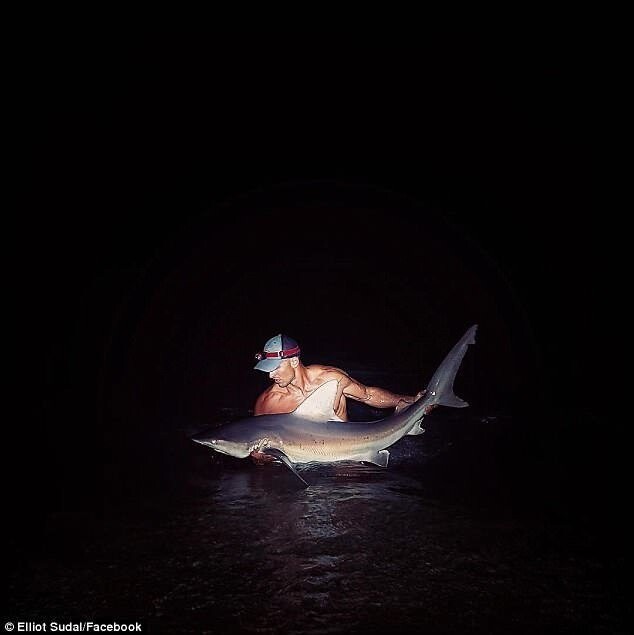 Он публикует фото с морскими обитателями в соцсетях, чтобы повысить осведомленность местных жителей об акулах. Но чаще всего его подписчиц интересуют не акулы, а непосредственно их "ловец".