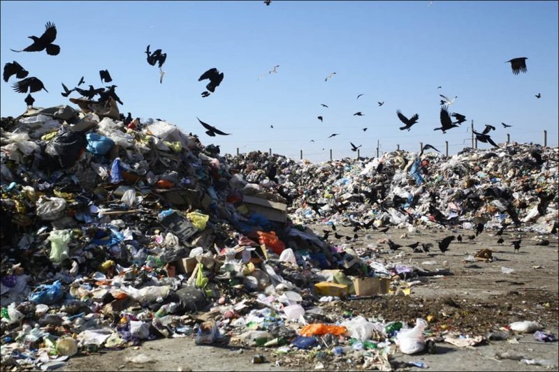 Амбиции мусорного короля Бориса Пайкина угрожают экологии Брянской области