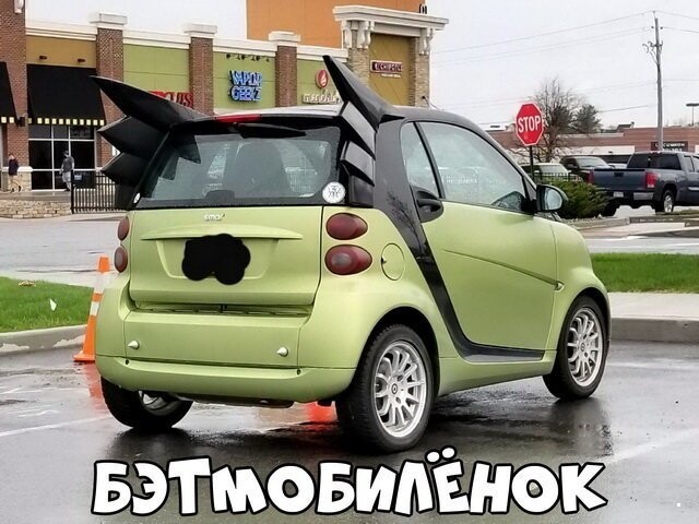 Автовсячина