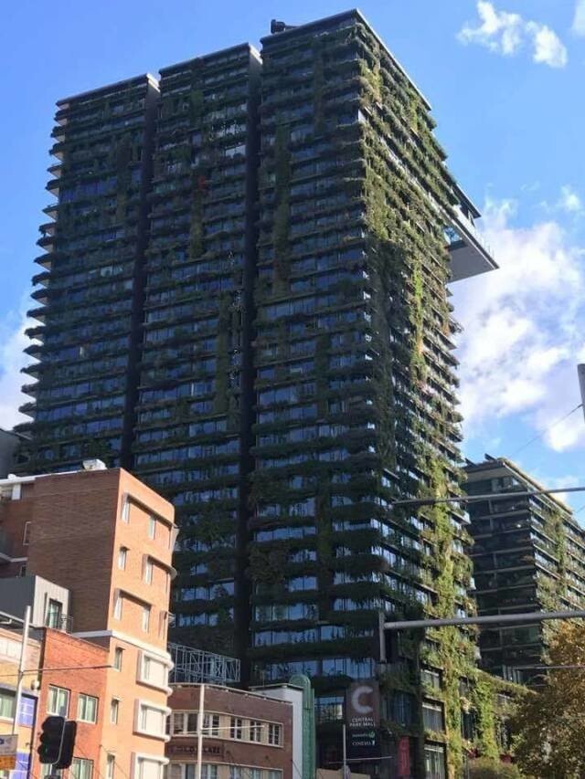 Зеленый небоскреб