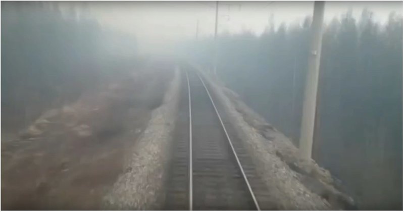 Машинист снял на видео, как поезд мчится через горящий лес
