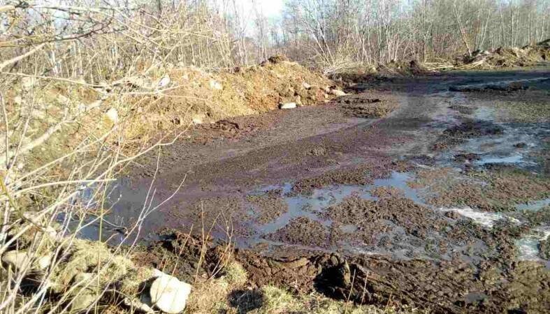 Взрывчатка из дерьма. Миллион тонн на большую войну