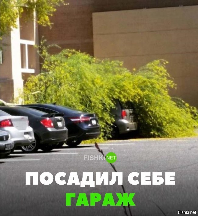 Посадил себе гараж