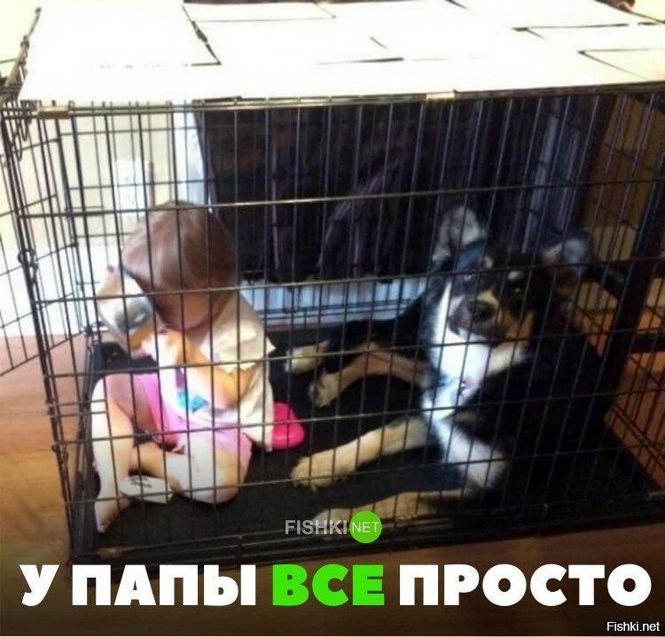 С Папой проще