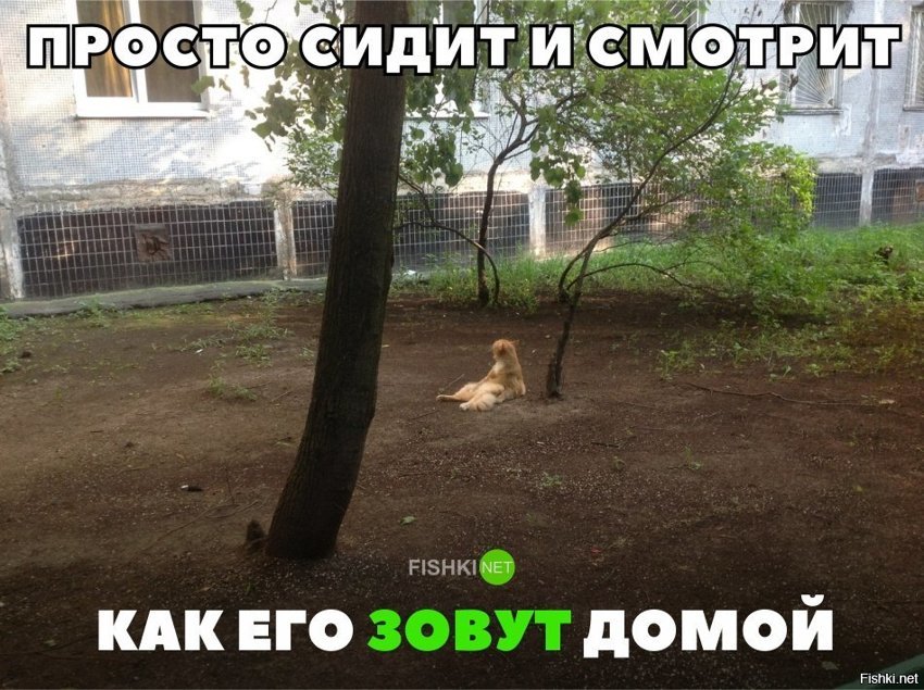 Классика