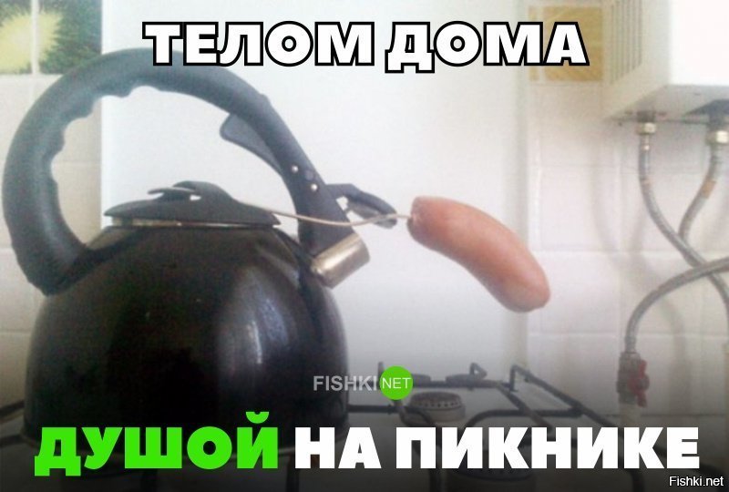 Телом дома, душой на пикнике