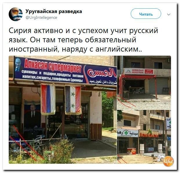 Политические коментарии соцсетей - 474