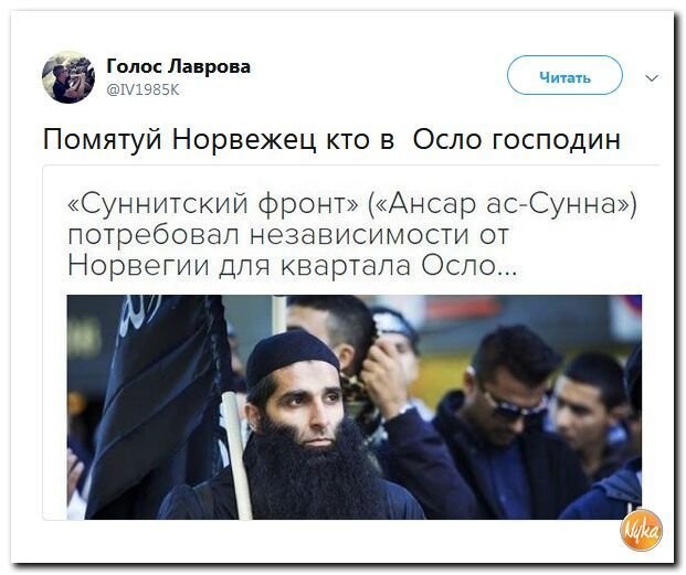 Политические коментарии соцсетей - 474