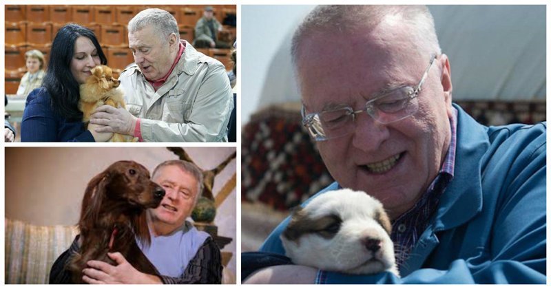 Жириновский пообещал исключить из ЛДПР всех собаковладельцев