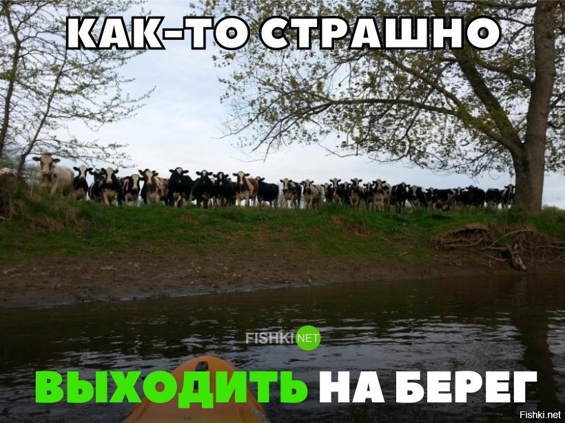 Страшно выходить на берег