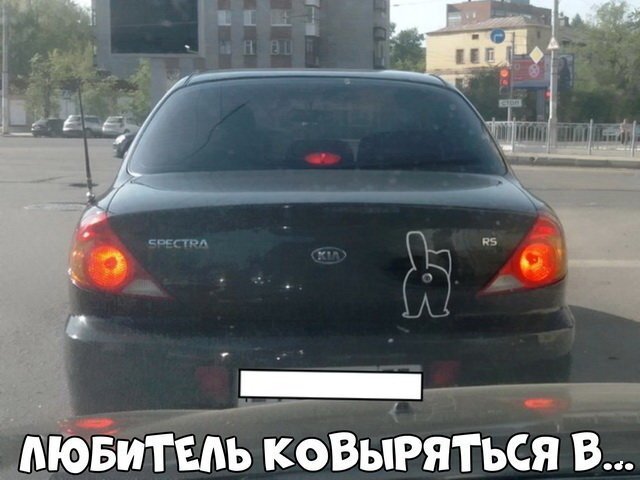 Автовсячина