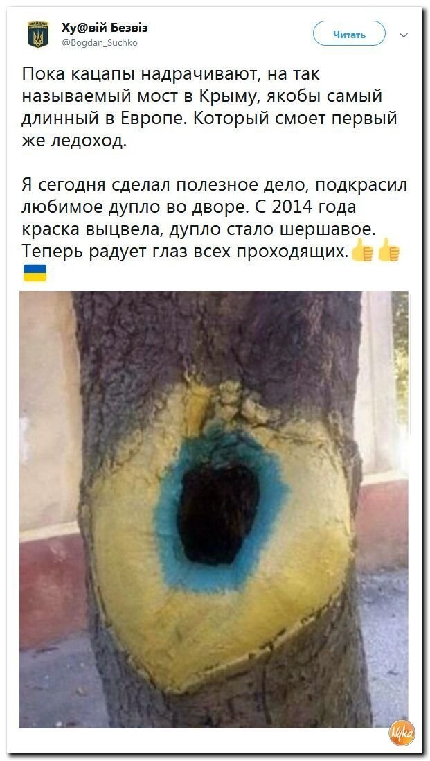 Политические коментарии соцсетей - 476